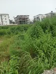 Certificate of Occupancy Residential Plot in Jahi - 5