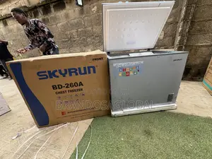 Skyrun BD-260A Deep Freezer 260L