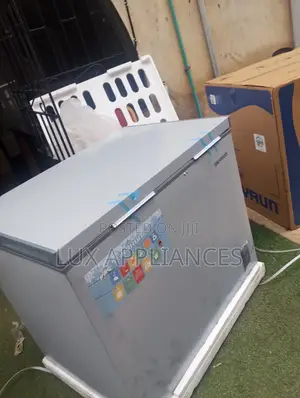 Skyrun 260L Chest Freezer BD-260A Grey