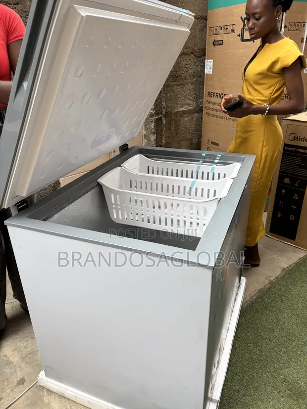 SkyRun BD-260A Large Capacity Deep Freezer - 1