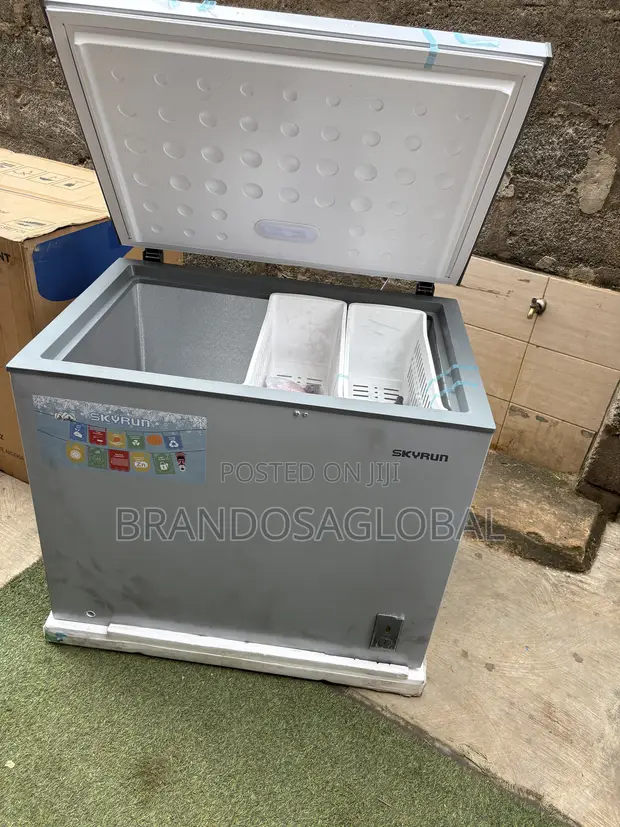 Skyrun BD-260A 260L Home Chest Freezer - 1