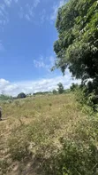 Prime Residential Land for Sale in Epe - 4
