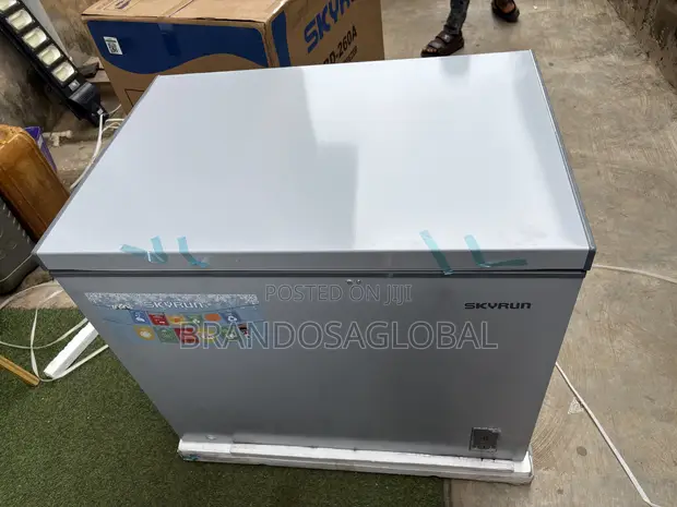 Skyrun BD-260A Household Deep Freezer - 1