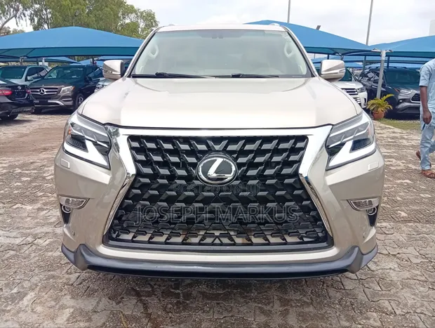 Lexus GX 460 Luxury 2020 Gold - 1