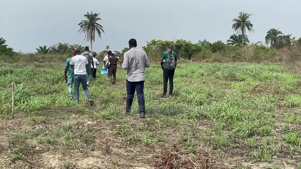 Pine Estate Filin Zama na Siyarwa a Epe - 1