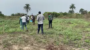 Pine Estate Residential Land for Sale in Epe