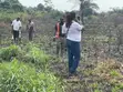 Pine Estate Filin Zama na Siyarwa a Epe - 2