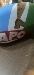 Car Mirror Covers - Party Themed - 2