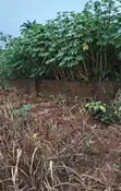 100/50 Plot for Sale in Amacha, Okpanam - N6m - 2