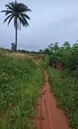 100/50 Plot for Sale in Amacha, Okpanam - N6m - 3