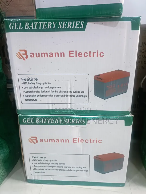 Baumann Electric 12V 100Ah Gel Battery - 1