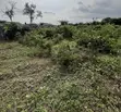 Standard Plot of Land for Sale in Immaculate Estate, Gberigbe - 2