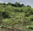 Standard Plot of Land for Sale in Immaculate Estate, Gberigbe - 3