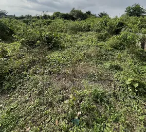 Filin Ƙasa na Al'ada don Siyarwa a Immaculate Estate, Gberigbe