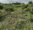 Standard Plot of Land for Sale in Immaculate Estate, Gberigbe - 5