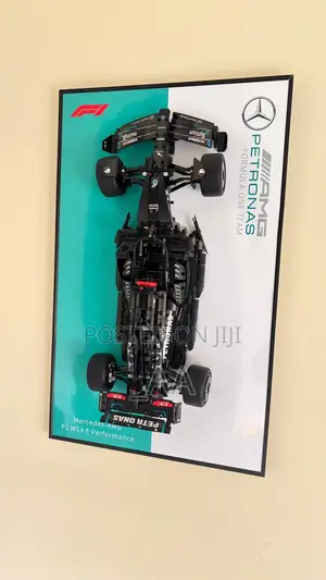Formula 1 Car Frame - Brand New