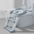 Potty/Toilet Seat Mai Aiki Da Yawa Ga Yara Tare Da Mataki - 1