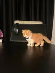 Kare-karen Persian Mai Tsarki - Watan 1-3 - 2