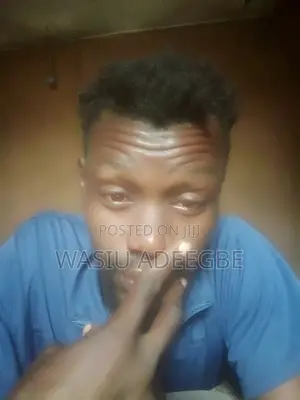Live-Out Personal Driver - Orchid, Lekki