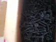 Black Gypsum Board Screws - 4