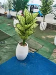 Brand New Synthetic Flowers - 1