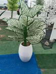 Brand New Synthetic Flowers - 2