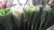 Brand New Synthetic Flowers - 4