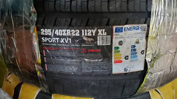 Brand New 295/40 R22 Tire - 1
