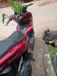 Honda PCX 2500 Scooter - 2025 - 3