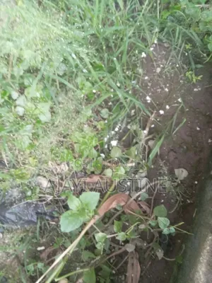 1,300 sqm Land for Sale in Maitama, Abuja