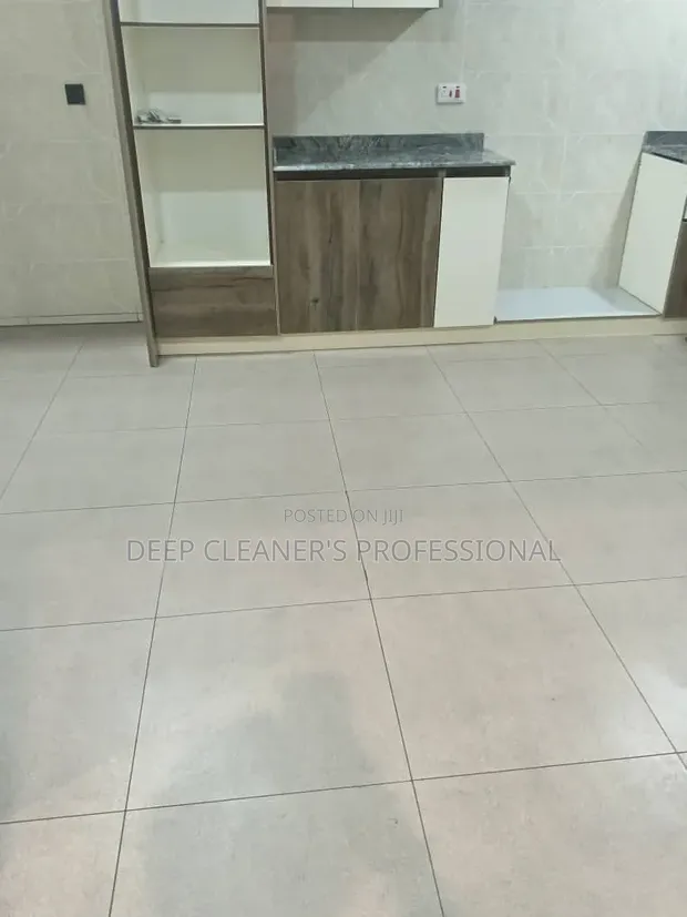 Uyo Deep Cleaner's Professional Cleaning & Fumigation - 1
