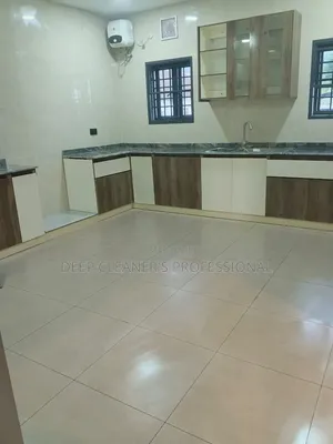 Professional Fumigation & Cleaning Services - Uyo