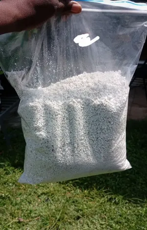 Perlites for Gardening (5 Liters)