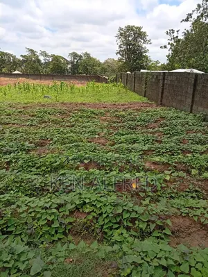 400sqm Estate Land for Duplex in Jahi, Abuja