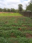400sqm Estate Land for Duplex in Jahi, Abuja - 1