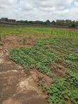 400sqm Estate Land for Duplex in Jahi, Abuja - 2