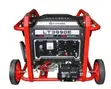 Lutian 3990e2 Generator 8.5 KVA Original Copper Wire - 2