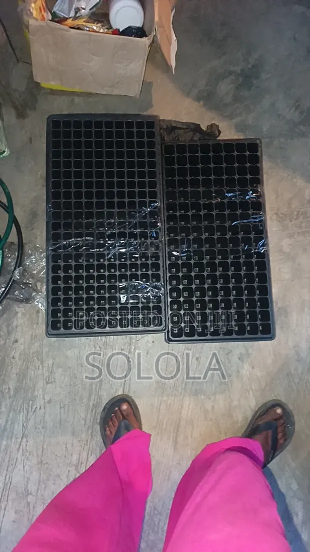 Seedling Tray - Brand New - 1