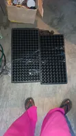 Seedling Tray - Brand New - 1