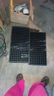 Seedling Tray - Brand New - 2