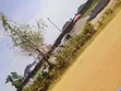 Dangote Siminti Mai Rarrabawa - 2