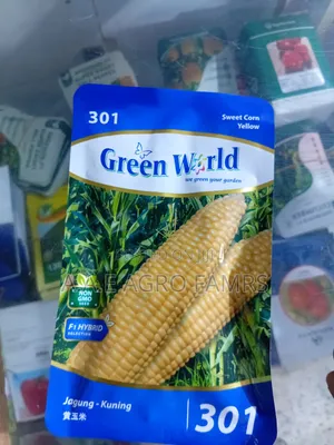 Green World Maize Seeds