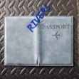 1pc Passport Holder - Travel Passport Protection Case - 5