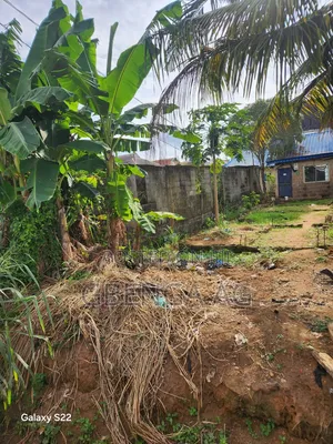 Rabin Rabin Plot da 2 & 3 Bedroom Flats don Siyarwa, Peace Estate Ipaja