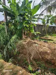 Rabin Rabin Plot da 2 & 3 Bedroom Flats don Siyarwa, Peace Estate Ipaja - 2