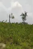 5 Acres Mixed-Use Land for Sale, Ayetoro Makun Off Lagos-Ibadan Express - 2