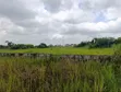 20 Acres na Filin Sayarwa, Mowe (Kusa da Jami'ar Christopher) - 2