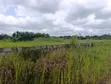 20 Acres na Filin Sayarwa, Mowe (Kusa da Jami'ar Christopher) - 3