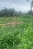 83 Hectares of Land for Sale at Imeko Afon, Ogun State - 1