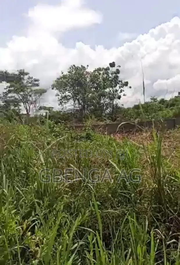 6,489 Acres Land for Sale at Owode Idi-Emi, Yewa North - 1
